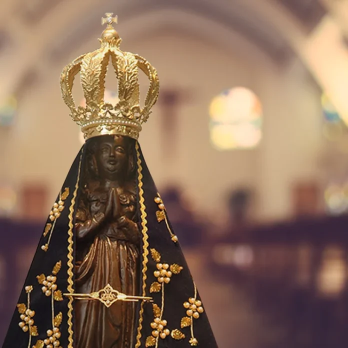 nsra-aparecida-q1