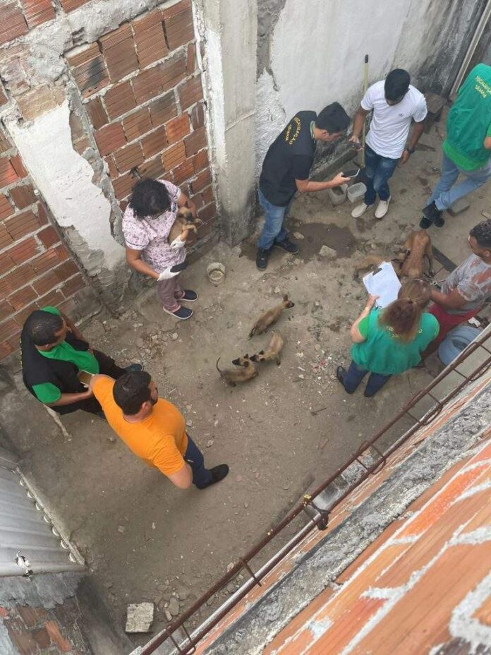 WhatsApp-Image-2022-11-30-at-16.42.48-1-768x1024