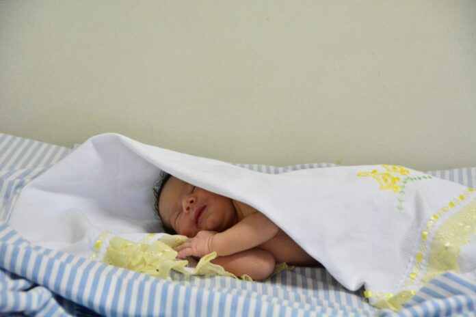 diadasmaescandidavargas_foto_dayseeuzebio-151-1024x683