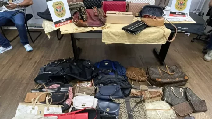 recuperadas-bolsas-de-luxo-furtadas-de-residencia-da-influenciadora-mirella-santos-1681508587446_v2_750x421.png