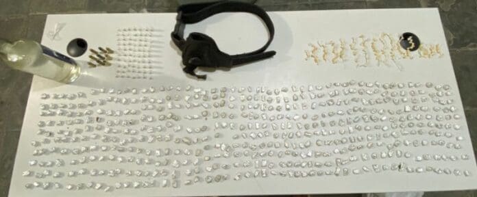 litoralsul-800x331