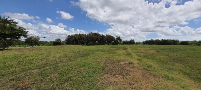 parque PMJP