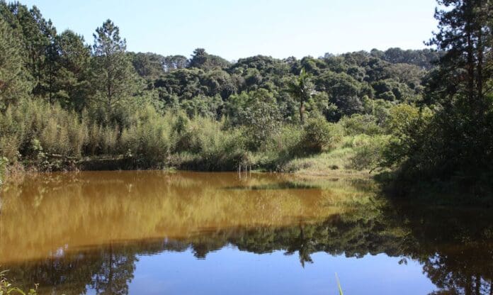 Parque Natural Municipal Varginha