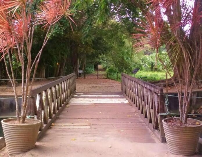 jardim botanico