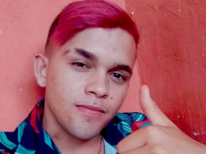 a1
