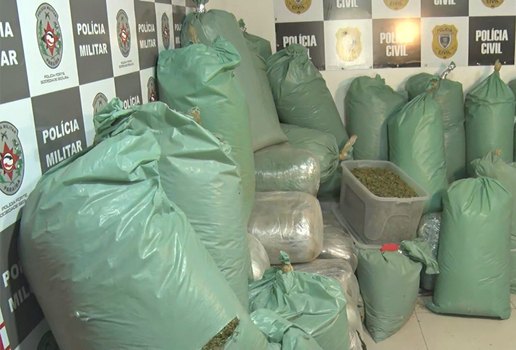 imagens_Maconha-apreensao