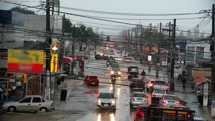 geisel-chuva